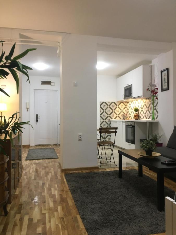 Apartmán Axis Mundi Bělehrad Exteriér fotografie